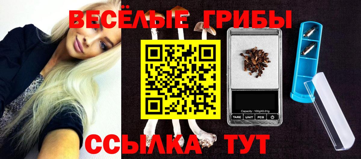 Междуреченск  закладки  Вход с VPN  Псилоцибиновые грибы Psilocybine cubensis  Галлюциногенные грибы MAGIC MUSHROOMS 
